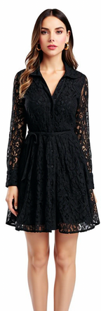 Elegant Black Lace Dress