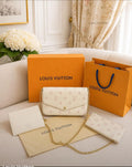LV bag